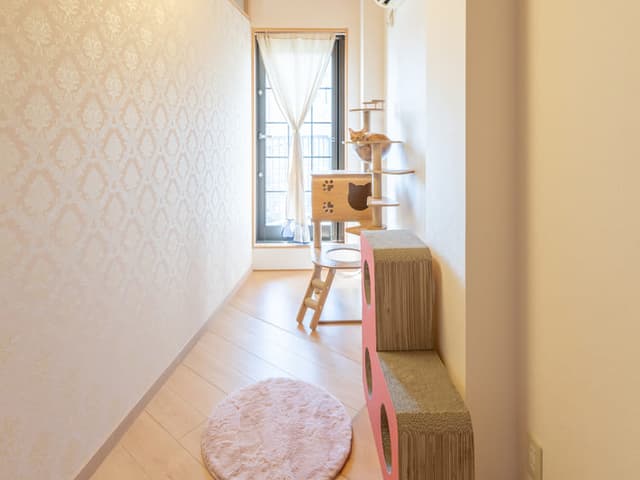 ねこべや福岡城南店
