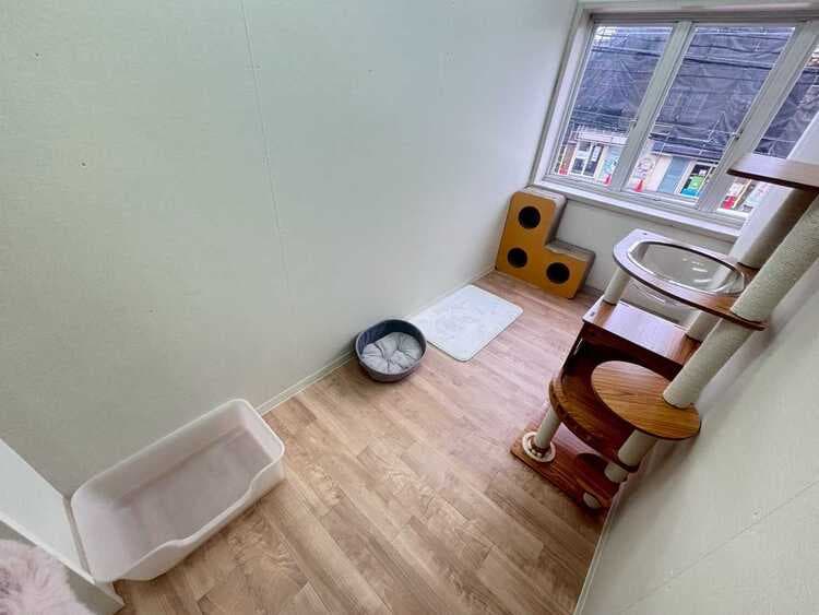 スイートルームのお部屋