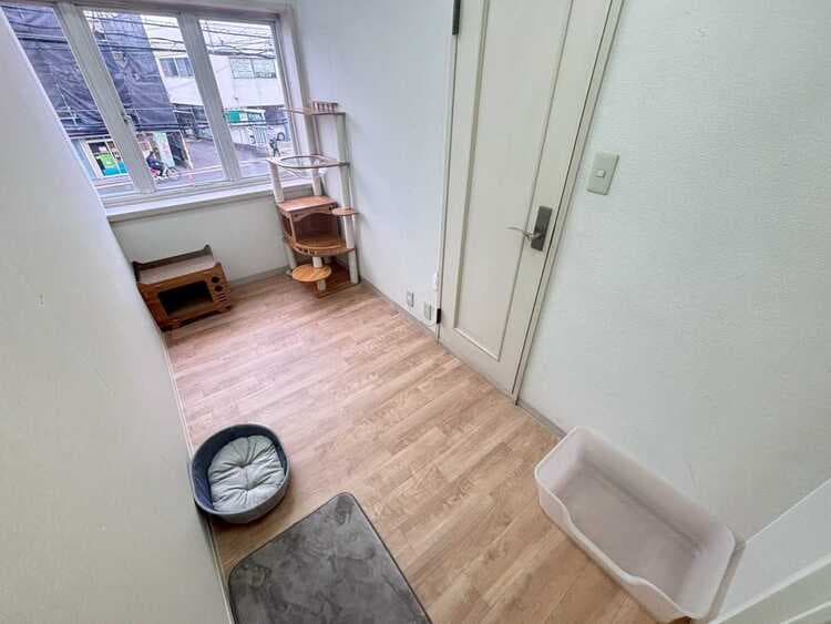 スイートルームのお部屋