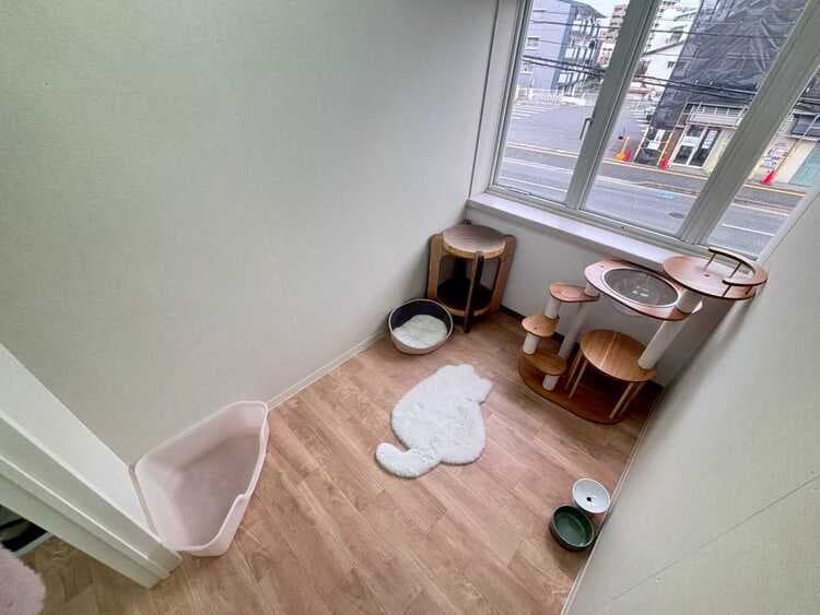 スタンダードルームのお部屋