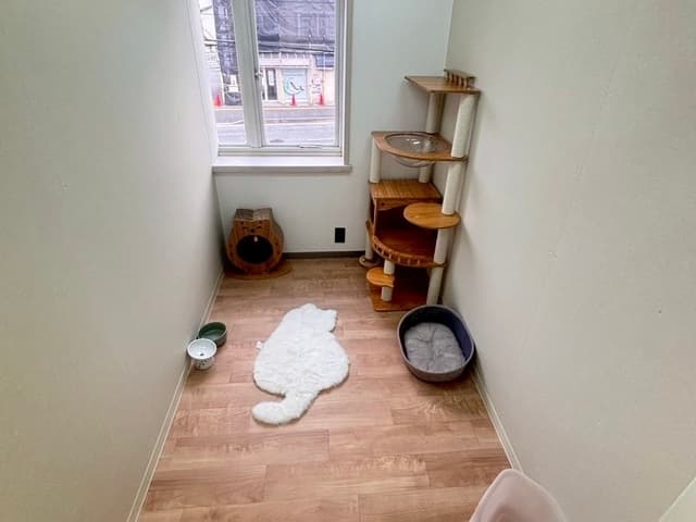 スイートルームのお部屋