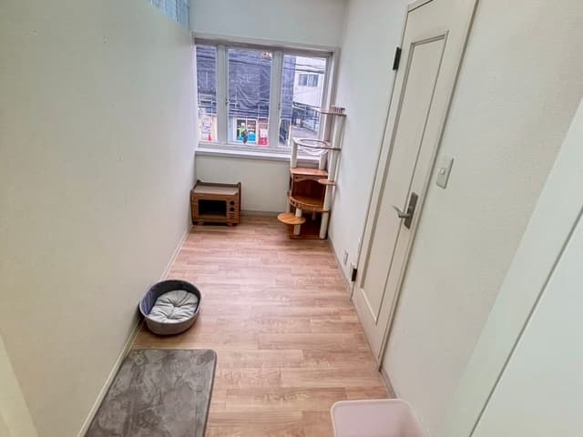 スイートルームのお部屋