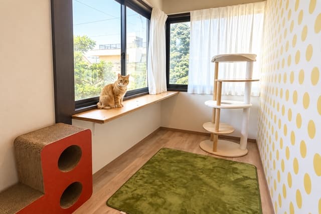 ねこべや大宮店