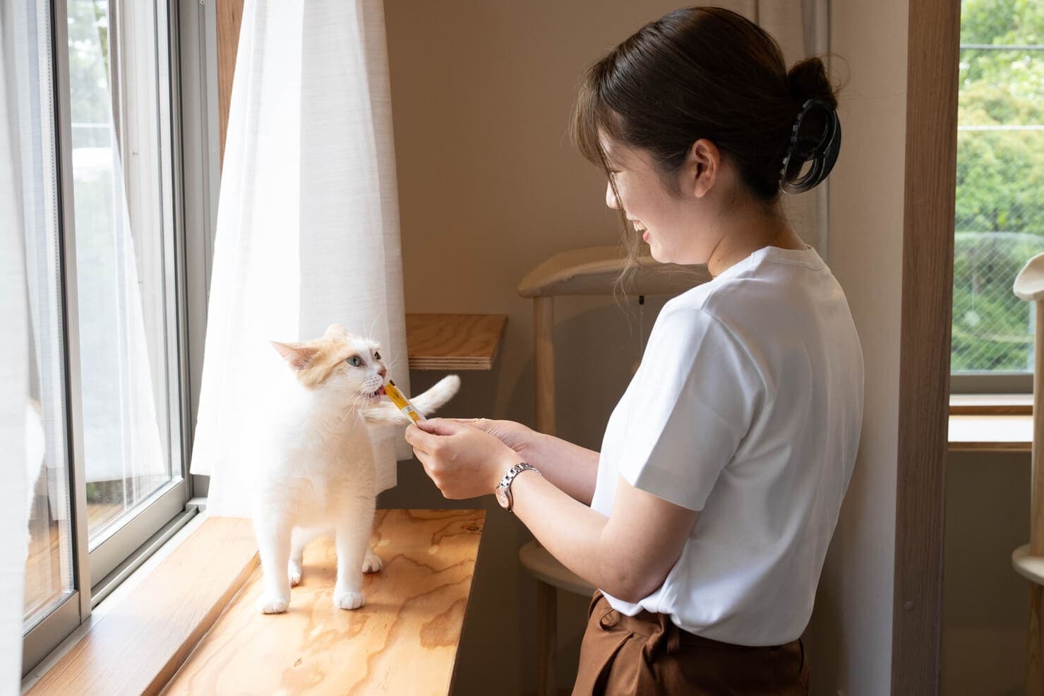 Khách Sạn Thú Cưng Phòng Riêng