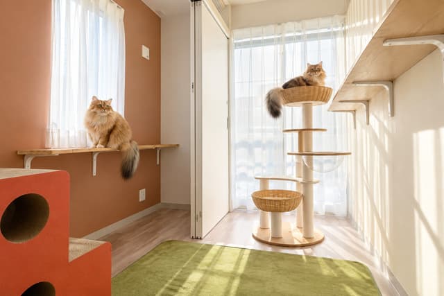 ねこべや横浜町田店