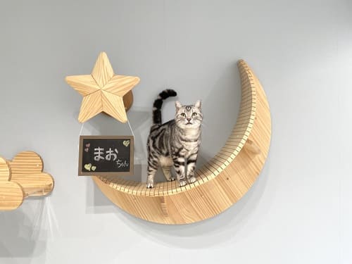 ねこべや羽田空港店の記念撮影>