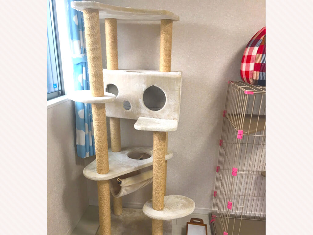 保土ヶ谷店キャットタワー>
