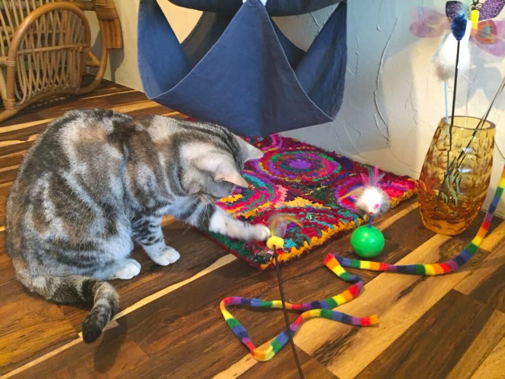 神奈川店猫用おもちゃ>