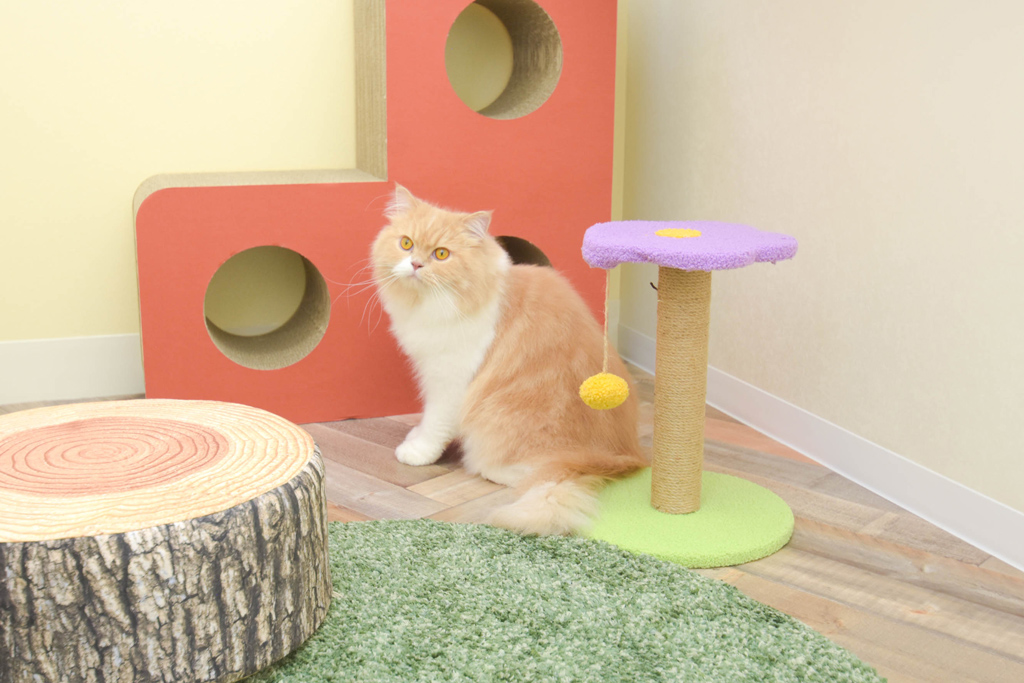 東京店猫ちゃん用トンネル>