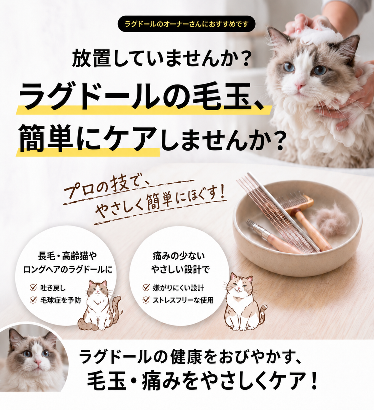 ラグドールの毛玉、簡単にケアしませんか？プロの技でやさしく簡単にほぐす