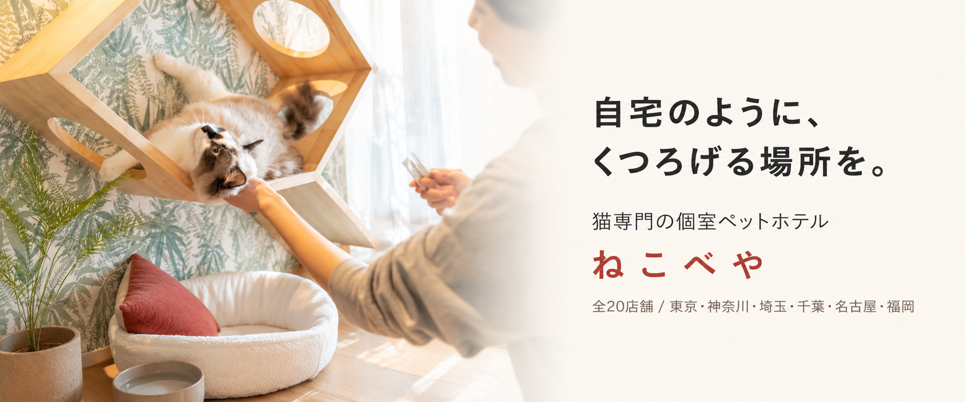 猫専用ペットホテル ねこべや