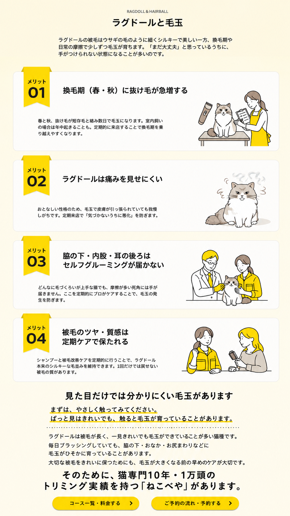 ラグドールと毛玉に関する4つのポイント