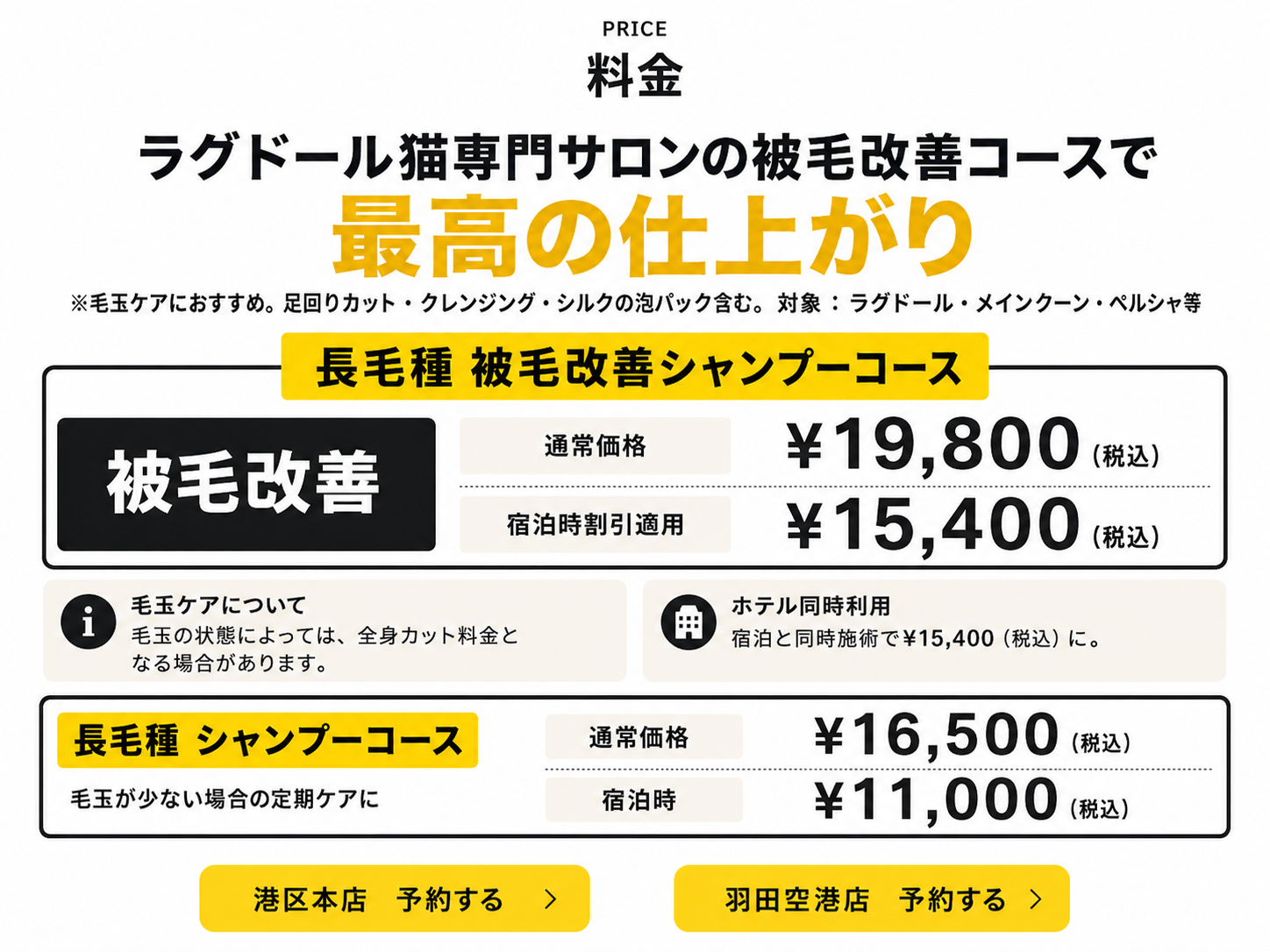 料金。ラグドール猫専門サロンの被毛改善コースで最高の仕上がり