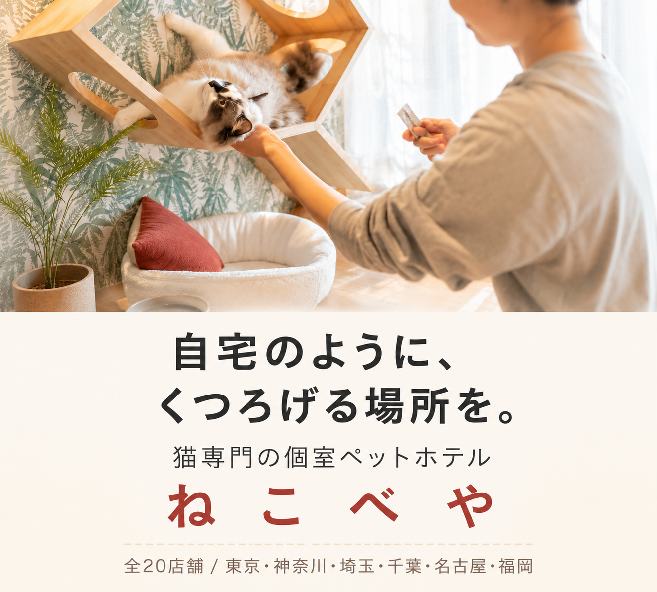 猫専用ペットホテル ねこべや