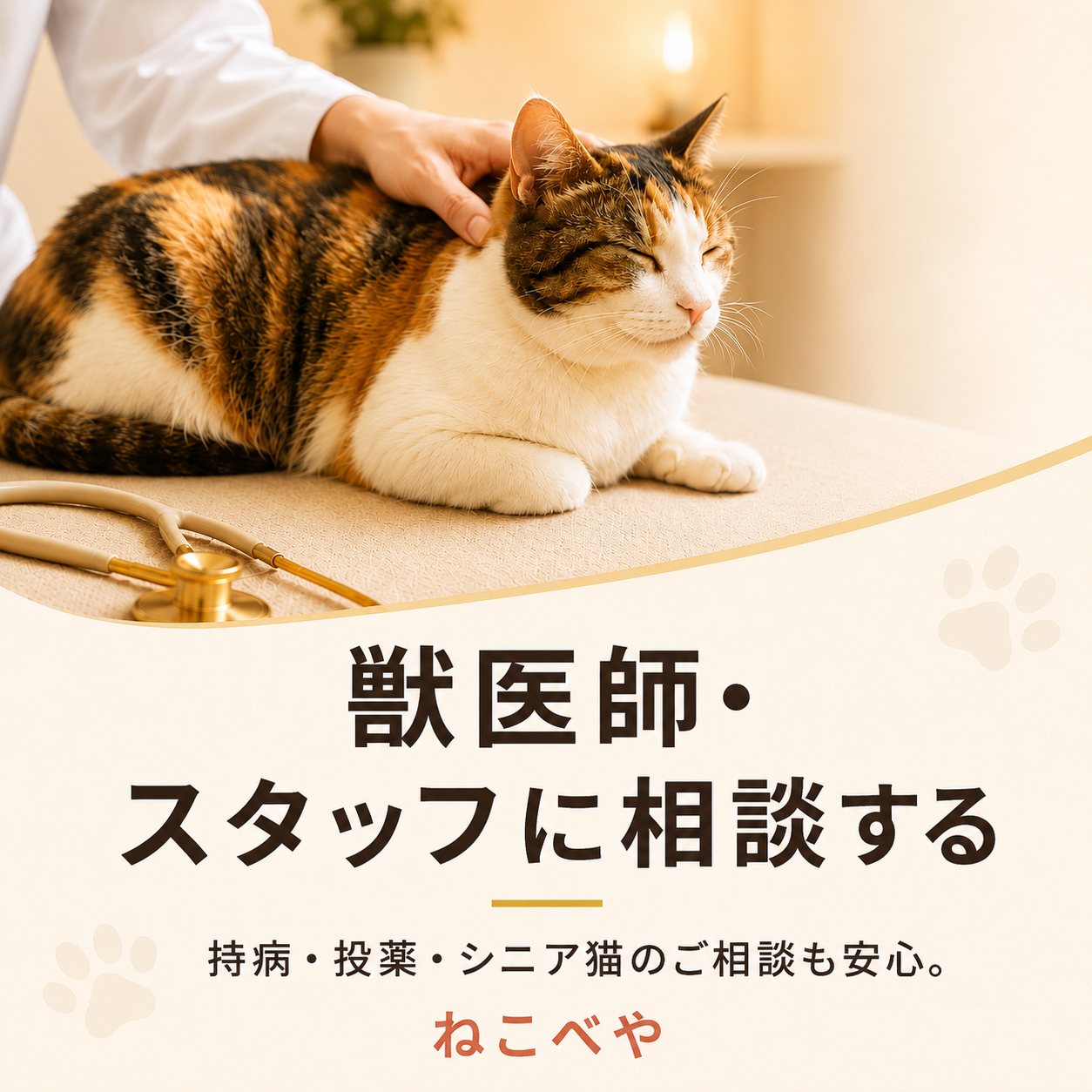 シニア・病気の猫でも安心！獣医師常駐・巡回の猫専用ペットホテル ねこべや