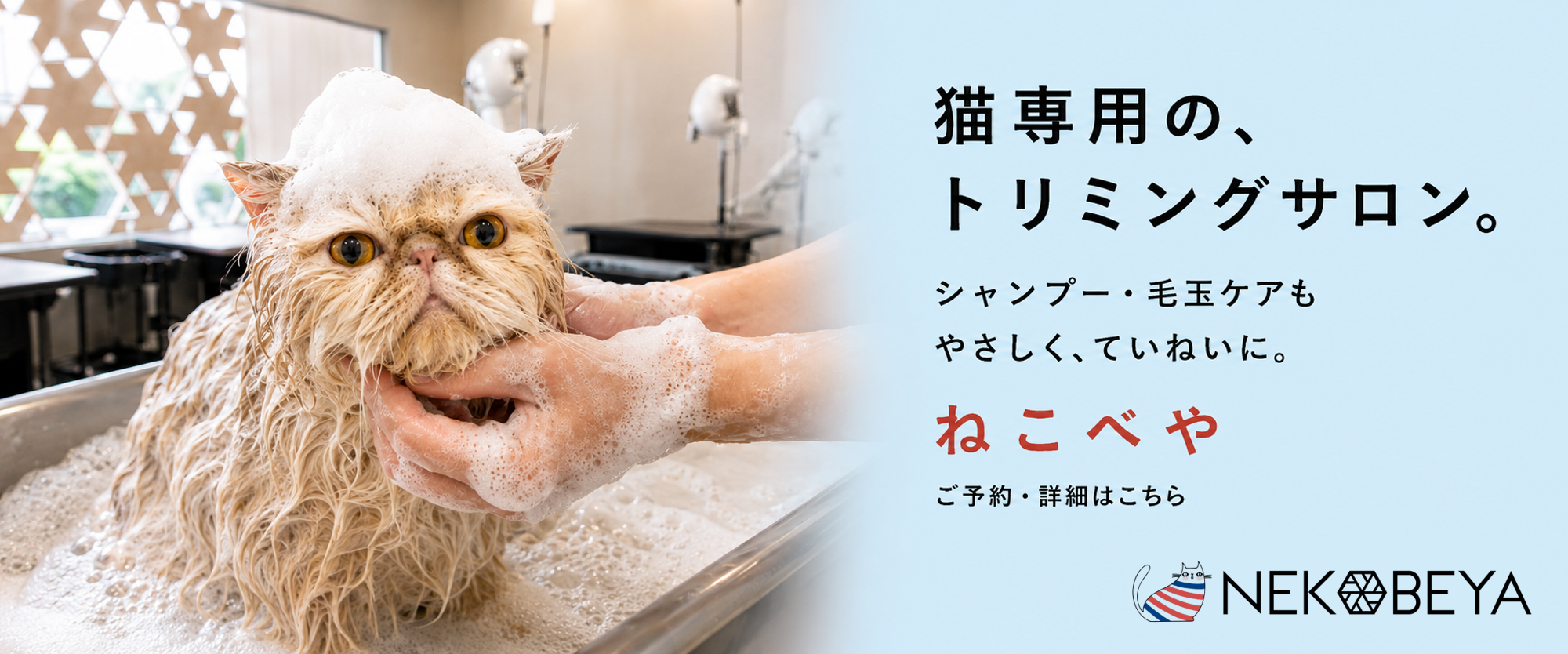 猫専用トリミングサービス ねこべやサロン