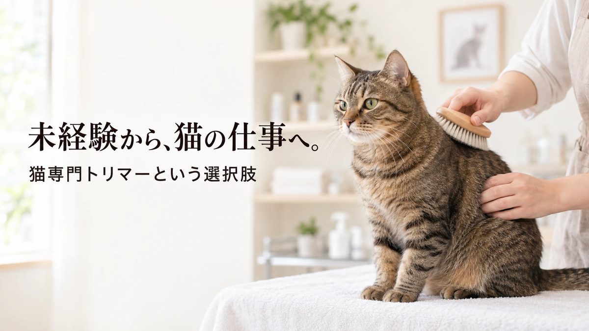 未経験から、猫の仕事へ。猫専門トリマーという選択肢