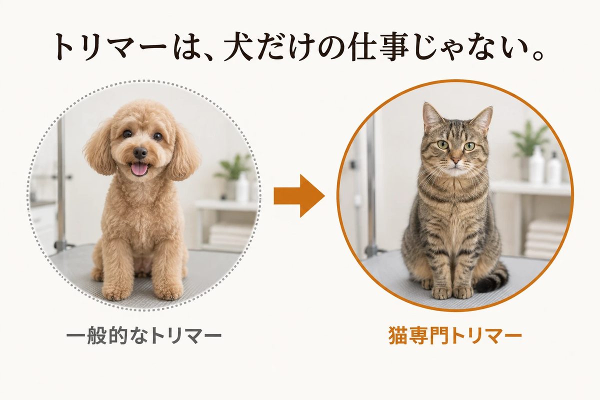 トリマーは犬だけの仕事じゃない。一般的なトリマーから猫専門トリマーへ