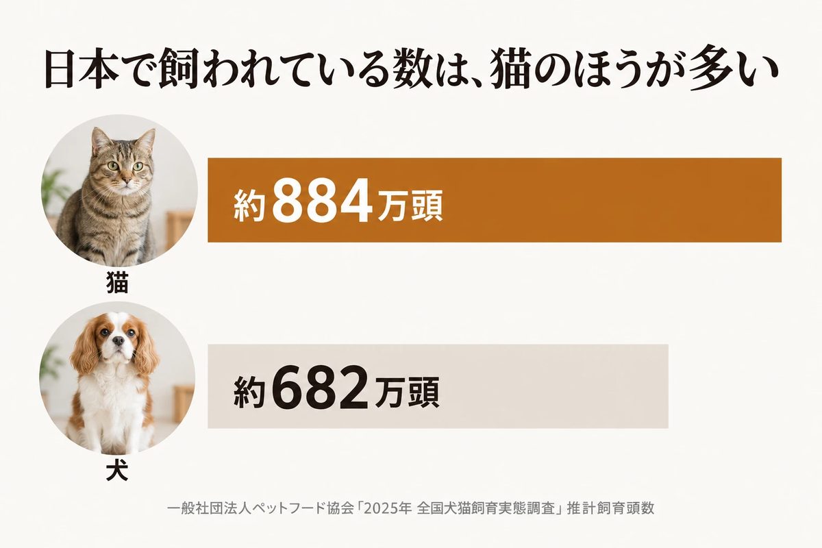 日本で飼われている数は猫のほうが多い。猫は約884万頭、犬は約682万頭（ペットフード協会 2025年 全国犬猫飼育実態調査）