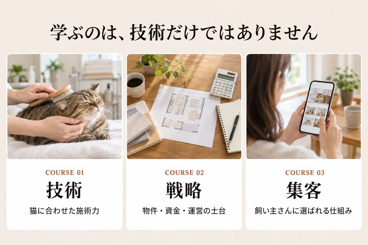 学ぶのは技術だけではない：COURSE01 技術（猫に合わせた施術力）、COURSE02 戦略（物件・資金・運営の土台）、COURSE03 集客（飼い主さんに選ばれる仕組み）