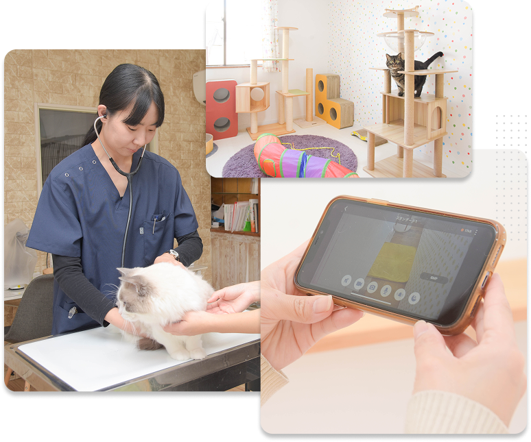 ねこべや紹介画像