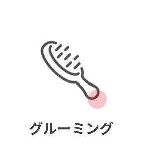 グルーミング