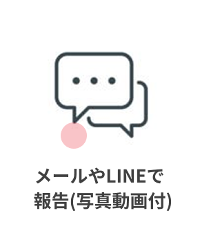 報告