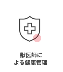 健康管理